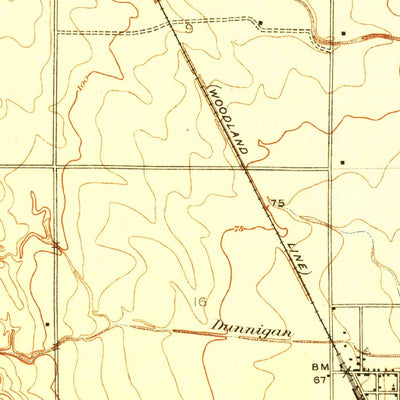 United States Geological Survey Dunnigan, CA (1916, 31680-Scale) digital map