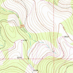 United States Geological Survey Dunsire Point, MT (1963, 24000-Scale) digital map