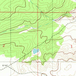 United States Geological Survey Duran NE, NM (1981, 24000-Scale) digital map