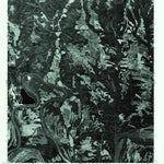 United States Geological Survey Durant Bend, AL (1975, 24000-Scale) digital map