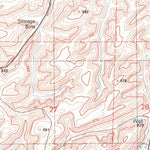 United States Geological Survey Dusty, WA (1981, 24000-Scale) digital map