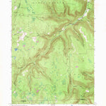 United States Geological Survey Dutch Mountain, PA (1946, 24000-Scale) digital map
