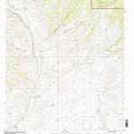 United States Geological Survey Dwyer, NM (1999, 24000-Scale) digital map