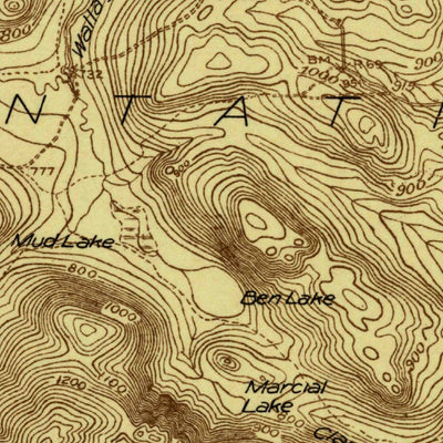 United States Geological Survey Eagle Lake, ME (1928, 48000-Scale) digital map