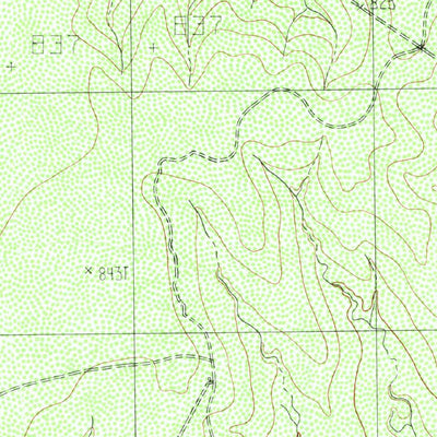 United States Geological Survey Eagle Pass NE, TX (1982, 24000-Scale) digital map