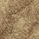 United States Geological Survey Eagle Rock, VA (1913, 48000-Scale) digital map