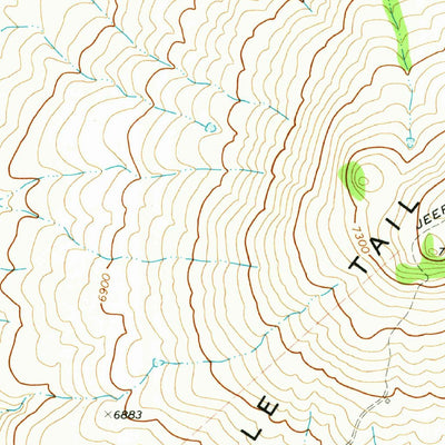 United States Geological Survey Eagle Tail Mountain, NM (1971, 24000-Scale) digital map