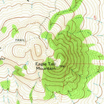 United States Geological Survey Eagle Tail Mountain, NM (1971, 24000-Scale) digital map