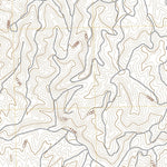 United States Geological Survey East Elk Hills, CA (2021, 24000-Scale) digital map