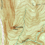 United States Geological Survey East Middlebury, VT (1944, 24000-Scale) digital map