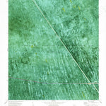 United States Geological Survey East Of Lone Palm Head, FL (1973, 24000-Scale) digital map