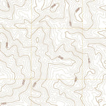 United States Geological Survey East of Owl Lake, CA (2021, 24000-Scale) digital map