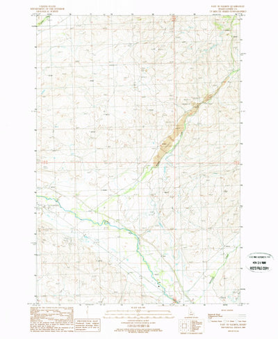 United States Geological Survey East Of Salmon, ID (1989, 24000-Scale) digital map