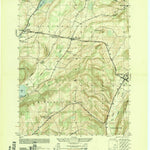 United States Geological Survey East Springfield, NY (1949, 25000-Scale) digital map