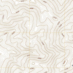 United States Geological Survey Echo Canyon, CA (2021, 24000-Scale) digital map