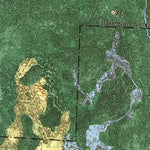United States Geological Survey Eddy, FL-GA (1967, 24000-Scale) digital map