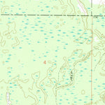 United States Geological Survey Edenville, MI (1969, 24000-Scale) digital map