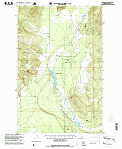 United States Geological Survey Edgemere, ID (1996, 24000-Scale) digital map
