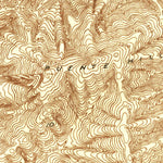 United States Geological Survey El Monte, CA (1923, 24000-Scale) digital map