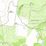 United States Geological Survey El Sauz, TX (1972, 24000-Scale) digital map