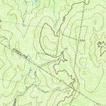 United States Geological Survey El Sauz, TX (1972, 24000-Scale) digital map