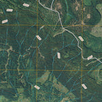 United States Geological Survey Elbe, WA (2011, 24000-Scale) digital map