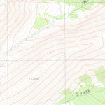 United States Geological Survey Electric Peak, CO (1980, 24000-Scale) digital map
