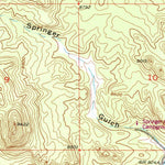 United States Geological Survey Elevenmile Canyon, CO (1956, 24000-Scale) digital map