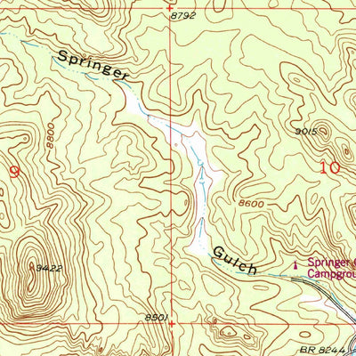 United States Geological Survey Elevenmile Canyon, CO (1956, 24000-Scale) digital map
