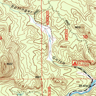 United States Geological Survey Elevenmile Canyon, CO (1994, 24000-Scale) digital map
