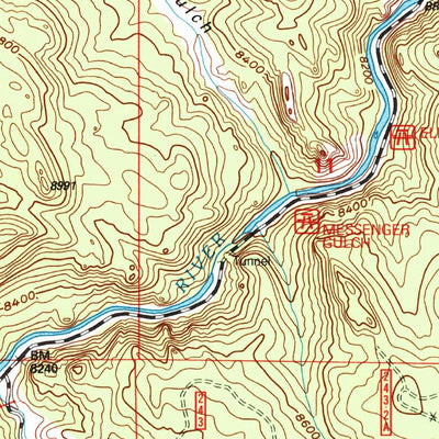 United States Geological Survey Elevenmile Canyon, CO (1994, 24000-Scale) digital map