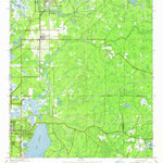 United States Geological Survey Elfers, FL (1943, 24000-Scale) digital map