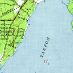 United States Geological Survey Elfers, FL (1943, 24000-Scale) digital map