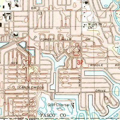 United States Geological Survey Elfers, FL (1998, 24000-Scale) digital map