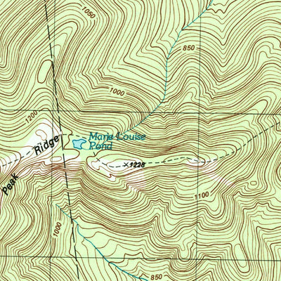 United States Geological Survey Elizabethtown, NY (1978, 25000-Scale) digital map