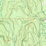 United States Geological Survey Elk Mountain, WA (1983, 24000-Scale) digital map