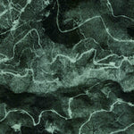 United States Geological Survey Elk Rock, WA (1975, 24000-Scale) digital map
