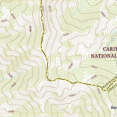 United States Geological Survey Elkhorn Peak, ID (2020, 24000-Scale) digital map