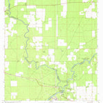 United States Geological Survey Ellaville, FL (1959, 24000-Scale) digital map