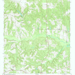 United States Geological Survey Ellaville North, GA (1971, 24000-Scale) digital map