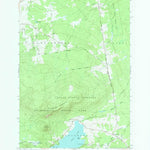 United States Geological Survey Ellenburg Mountain, NY (1964, 24000-Scale) digital map
