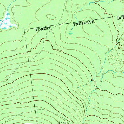 United States Geological Survey Ellenburg Mountain, NY (1964, 24000-Scale) digital map