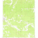 United States Geological Survey Ellsinore, MO (1980, 24000-Scale) digital map