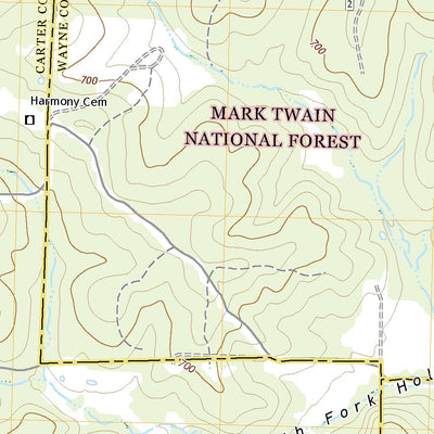 United States Geological Survey Ellsinore, MO (2021, 24000-Scale) digital map