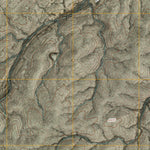 United States Geological Survey Encino Draw, NM (2010, 24000-Scale) digital map