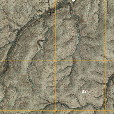 United States Geological Survey Encino Draw, NM (2010, 24000-Scale) digital map