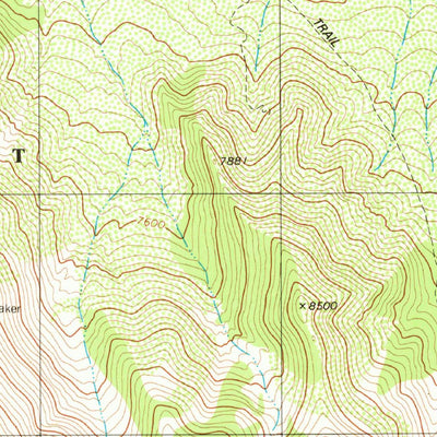 United States Geological Survey Encinoso, NM (1981, 24000-Scale) digital map