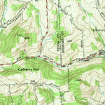 United States Geological Survey Endicott, NY (1956, 62500-Scale) digital map