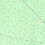 United States Geological Survey Engelhard NW, NC (1953, 24000-Scale) digital map