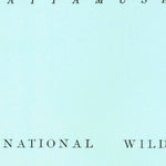 United States Geological Survey Engelhard West, NC (1951, 24000-Scale) digital map